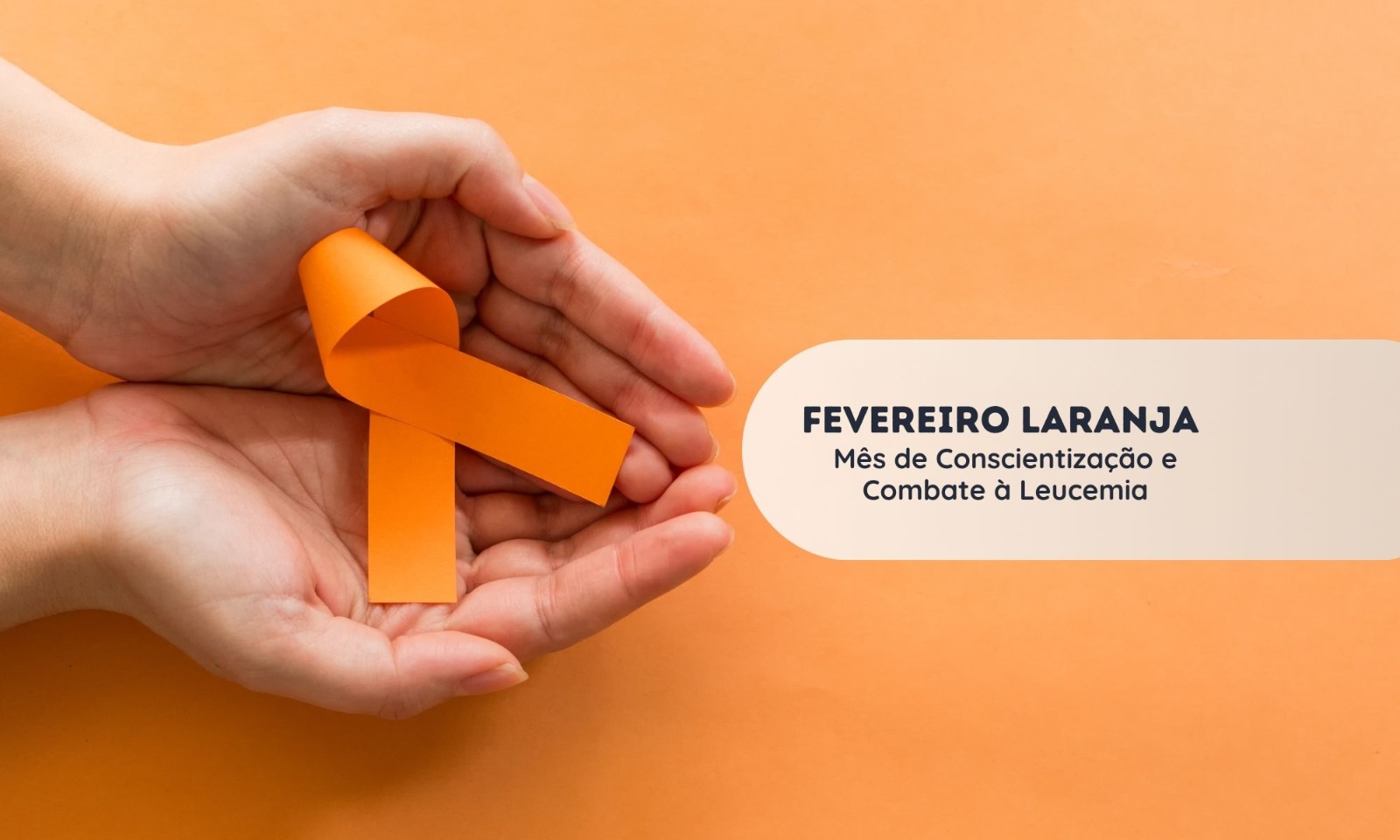 Fevereiro Laranja