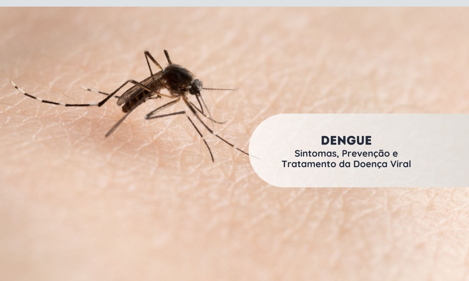 Dengue